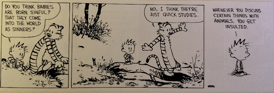 Calvin and Hobbes