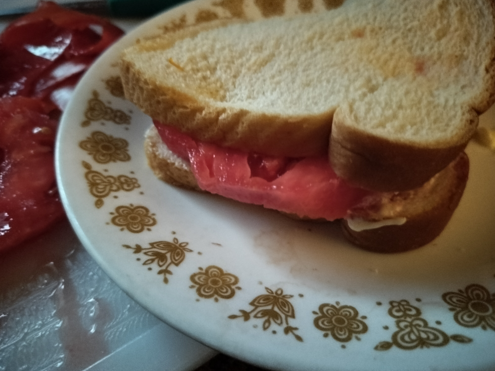 tomato sandwich